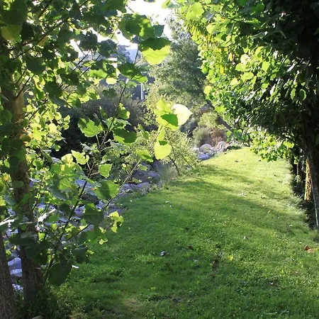 Casa Da Ponte Farm stay